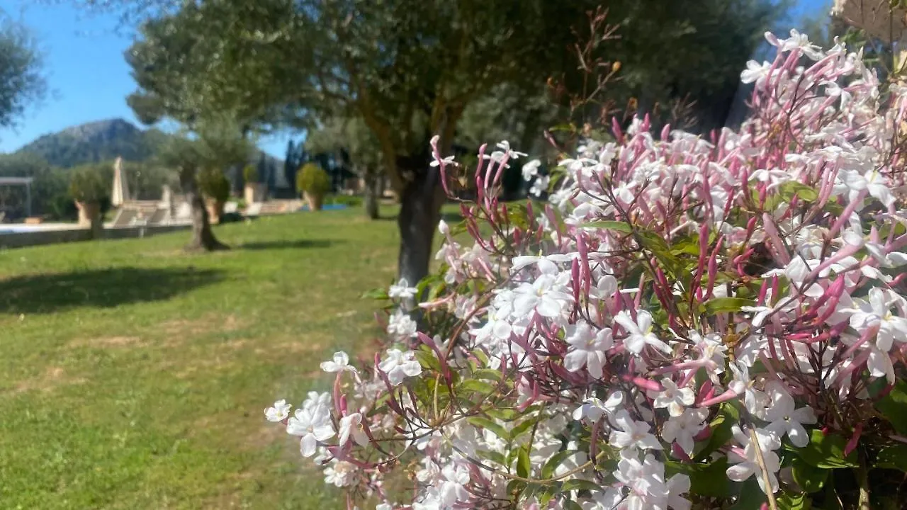 Villa Son Cardaix à Artà Espagne